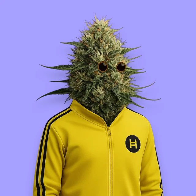 hBUDS_'s tweet photo. ℏBUDS #203 💨💨💨 https://t.co/ByzJ0HbdRT