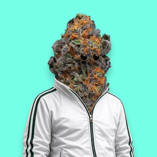 hBUDS_'s tweet photo. ℏBUDS #376 💨💨💨 https://t.co/eDQ1Y8x8tG