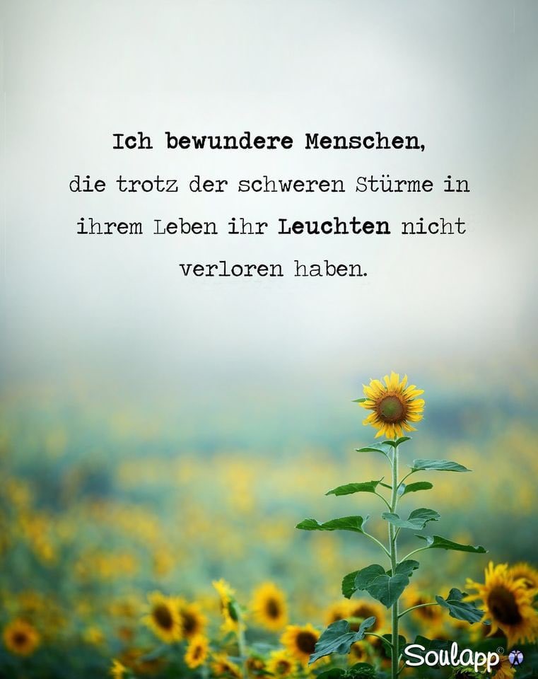 TrieMac's tweet photo. Ich bewundere Menschen, die trotz der schweren Stürme in ihrem Leben ihr Leuchten nicht verloren haben.☀️ https://t.co/Rztf1tvhzt