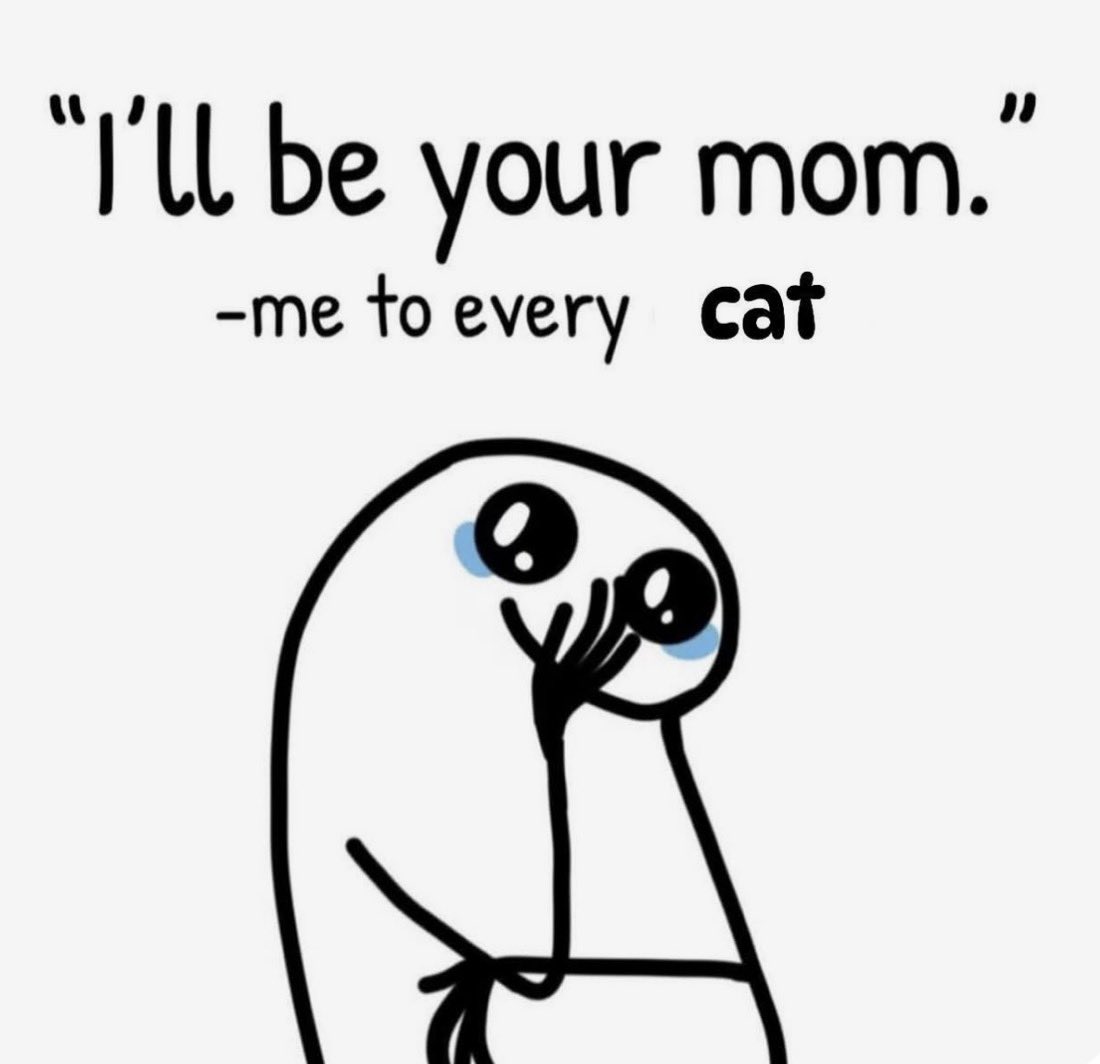 cattribunal's tweet photo. https://t.co/3oLyX6JYz0