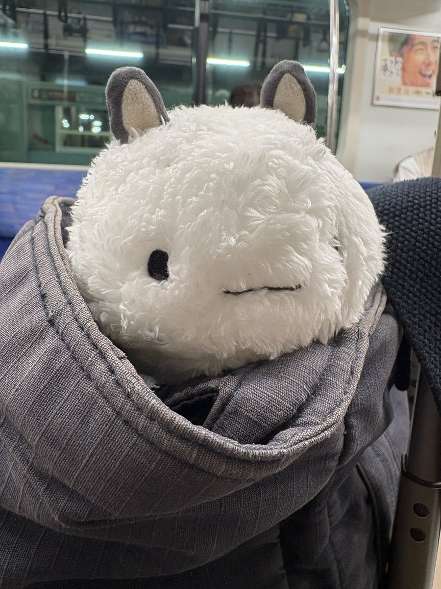 maru_poccha's tweet photo. 早速FUSHIとお出掛け https://t.co/t8H3zy0Qe5