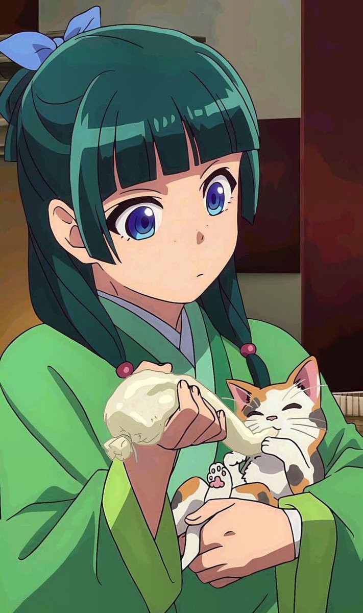 AnimetrendsLA's tweet photo. Maomao literalmente significa gato, y un gato acaba de hacer un cosplay de Maomao. 😭

Gracias a @mujinatensei https://t.co/ljUADMI5sW