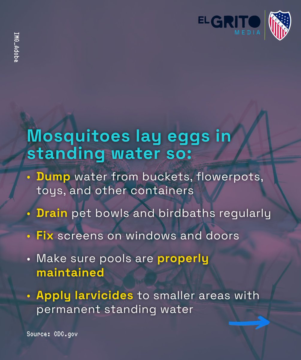 LULAC's tweet photo. West Nile virus is spread through the bite of infected mosquitoes, and while most people who are infected don’t develop symptoms, some can become seriously ill. The good news? There are simple steps you can take to protect yourself and your community. Have a mosquito safety tip? https://t.co/n2ffY5n3lj