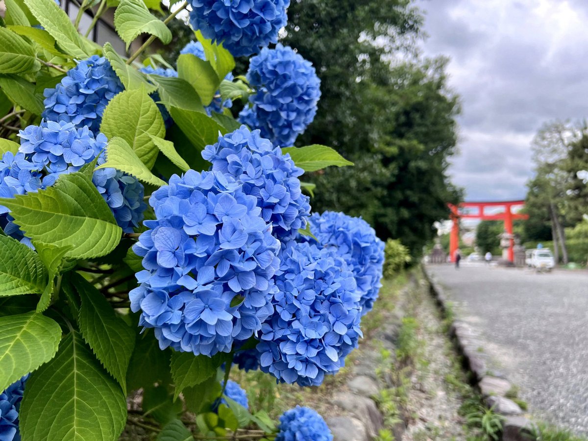 313Marcocrack's tweet photo. 占い学校の縁の下の力持ちの
白惟さん🙌
私も占い学校入学前に鑑定書を作っていただきましたが、大変丁寧に書かれていて今でも大切に持っています
お子様についてのお悩みにも丁寧に
向き合ってくださると思います😊 https://t.co/s5ZnoCxwnf