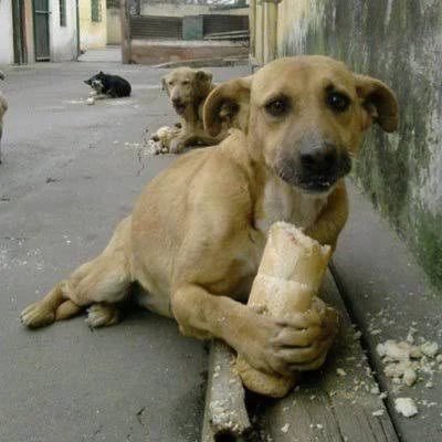 nisarabarba's tweet photo. https://t.co/TfolHIGeHK
