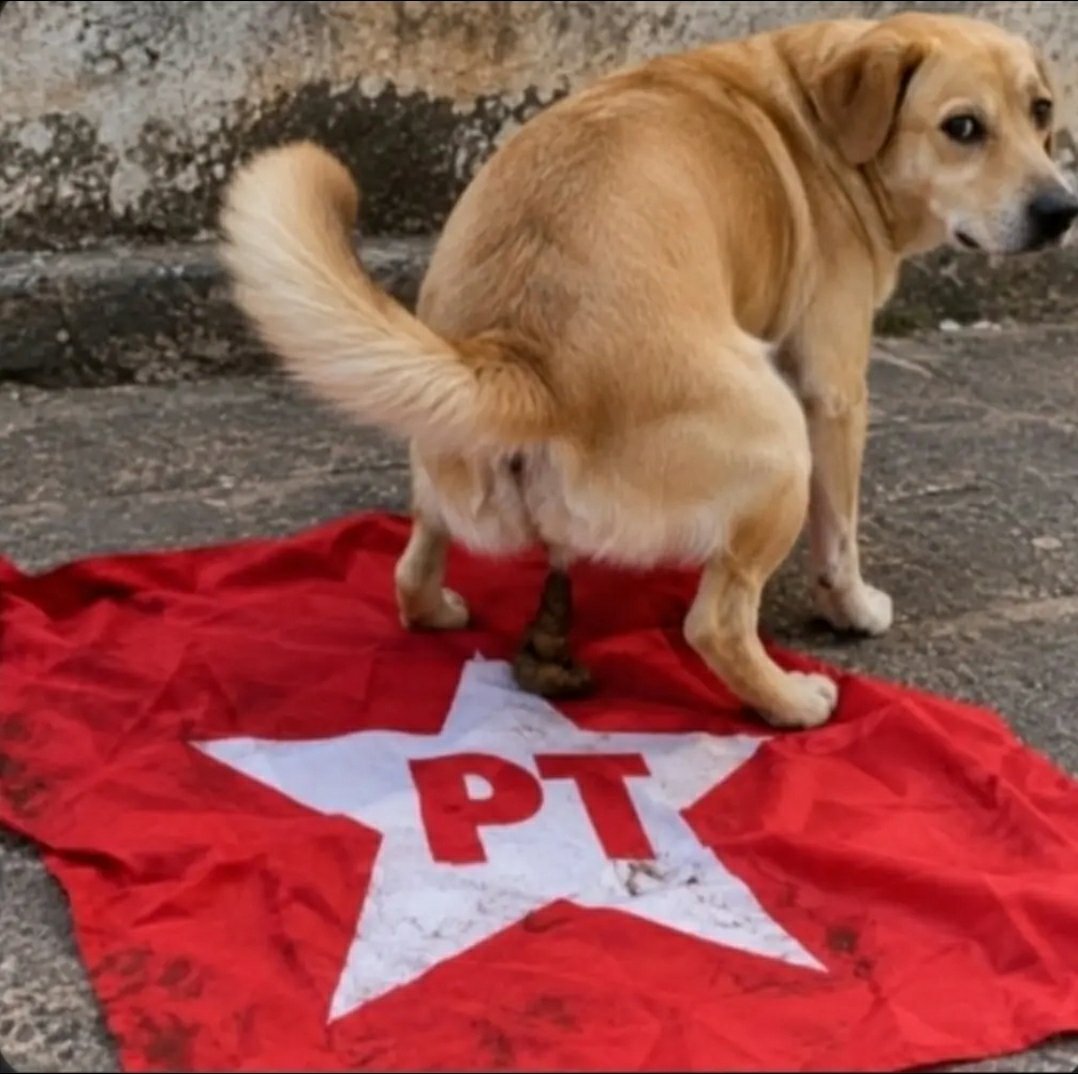 Alexandr3Guedes's tweet photo. @PedroRonchi2 https://t.co/n4FXIPUoDe