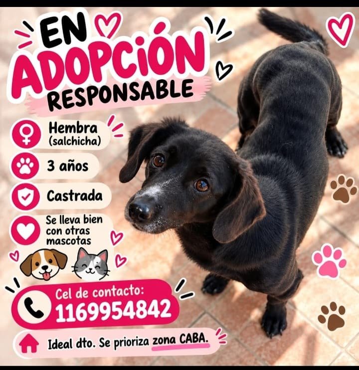 patripeyrou's tweet photo. Difundimos https://t.co/7ePJKKC38K