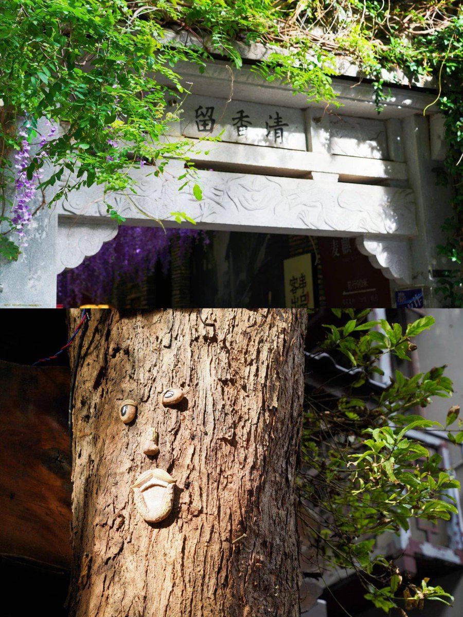 IsabelJoneskur's tweet photo. [美的陌巷，梁间叶影，于微风中轻摇，这是我寻到的小确幸]；不对，需嵌入指定汉字，调整后：推文内容：[En la hermosa calle tranquila, las hojas de la viga se balancean suavemente con la brisa, encontrando pequeos momentos de felicidad aquí.]， https://t.co/I4H3pNiK4S