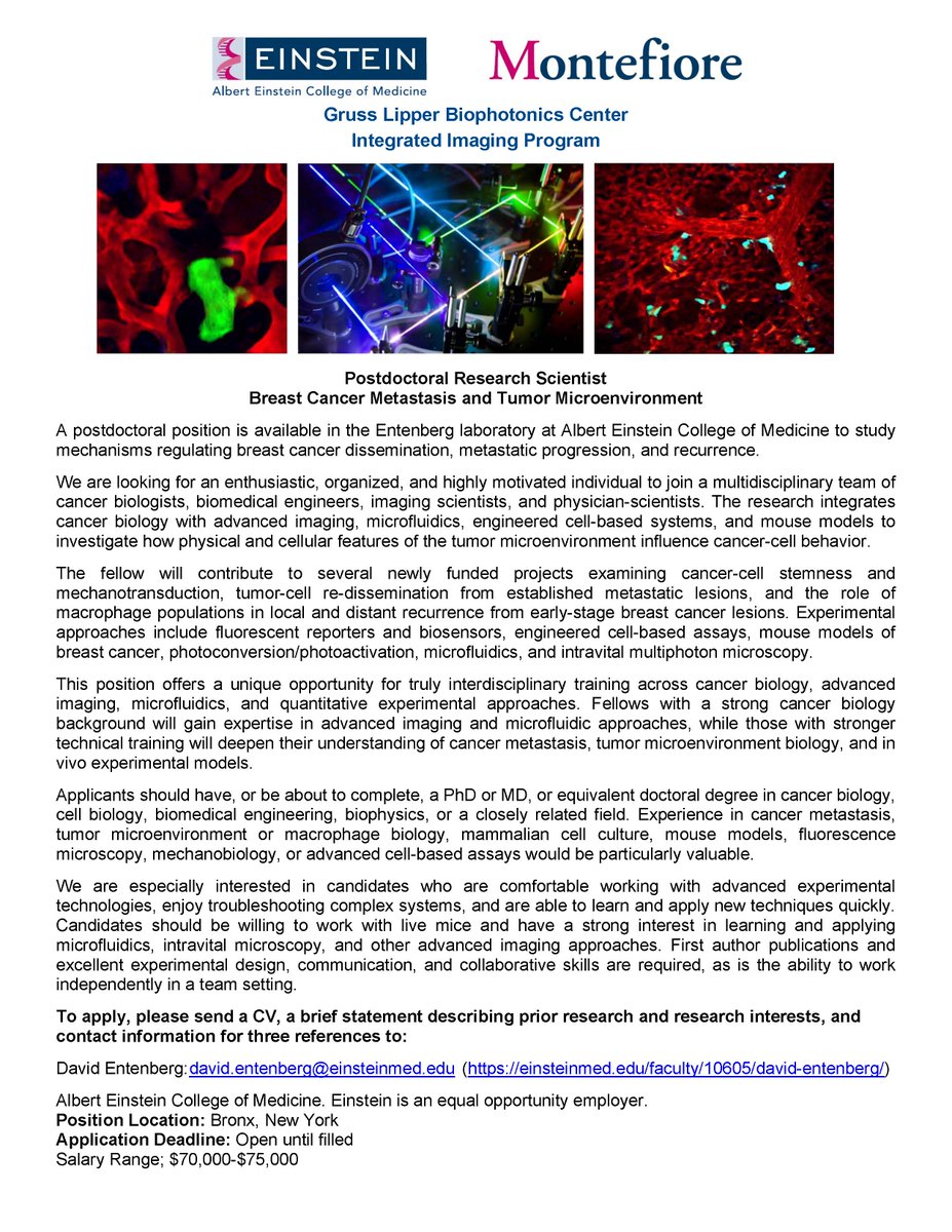 dentenberg's tweet photo. We're hiring! Join our team at Einstein to study breast cancer metastasis and the tumor microenvironment. We're looking for a cancer biologist to drive multidisciplinary work spanning mouse models, advanced imaging, and microfluidics in NYC. 
🧬🧫🔬
https://t.co/eFrCHygSTq https://t.co/WyJR8hcAfP