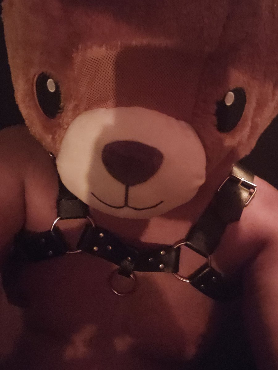 ubear4fun's tweet photo. 🐻 Cute face, bear energy… y un poquito de actitud. 😏
#BearVibes #BearCommunity #GayBear #OsitoBoricua #PuertoRico #BearEnergy #BoricuaBear 🐻🔥 https://t.co/8uD4XcPvMl