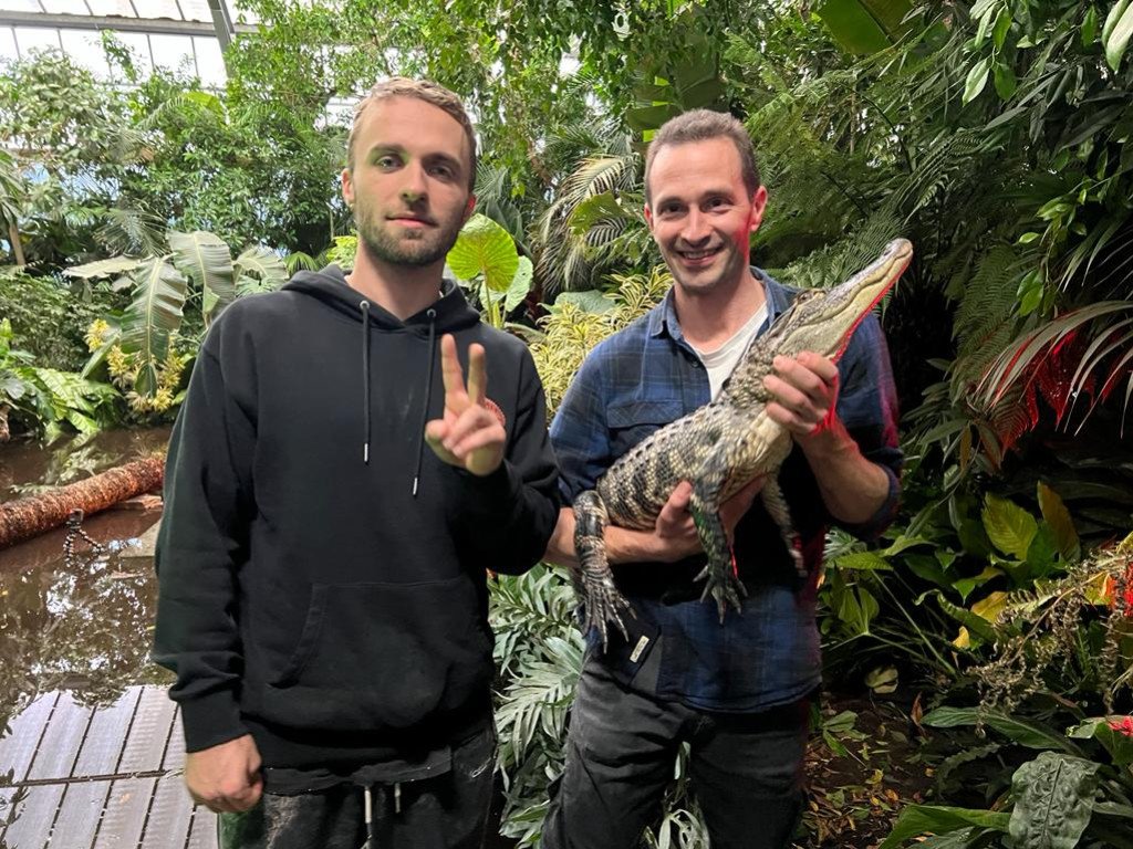 bilalbchr's tweet photo. @math_lybis @Meruemda @etostark ah si fréro c'est pas le très reptilien Squeezie qui va avoir une pulsion humaine comme ça https://t.co/Cfa6olKbIl