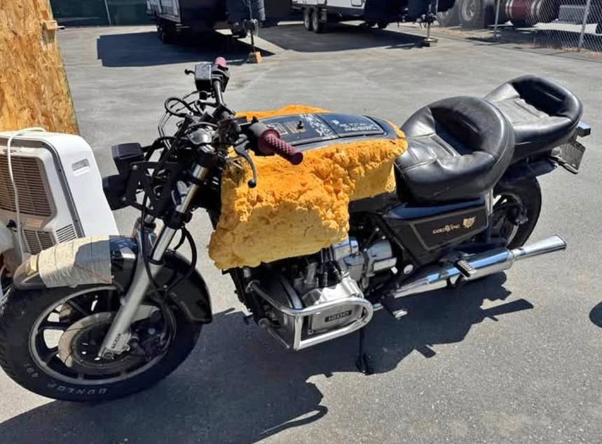 TotalMotorcycle's tweet photo. Ahhh, what did this owner do to the gas tank of his Gold Wing here? https://t.co/Lx2niOL40C