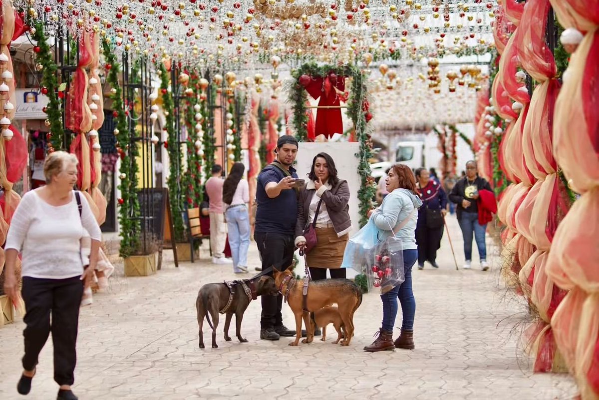 RiveraTrejoJuan's tweet photo. Gracias por elegir #Chignahuapan. 👏🏼 Da gusto ver nuestras calles así: llenas de familias, visitantes y turistas caminando, comprando, disfrutando y descubriendo nuestro #PuebloMágico.

Nuestros corredores ya están llenos de vida, nuestros artesanos y comerciantes están listos, y #Chignahuapan luce ordenado, limpio y seguro para recibir esta gran temporada. Ver tanta gente recorriendo nuestras calles emociona, porque detrás de cada visita también hay trabajo para nuestra gente y movimiento para nuestra economía.

¡Así se vivió #Chignahuapan este fin de semana! 🎄✨

#Chignahuapan #MásTerritorioMenosEscritorio