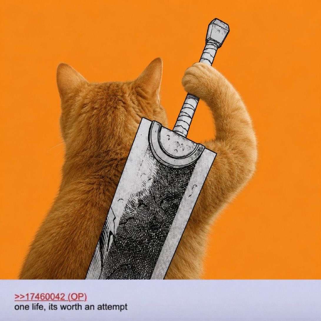 notTURKO's tweet photo. Just deployed this.

The best bitcoin:native lore out there imo.

Ticks every single box.

The first ever post on the Bitcoin Forums was by ‘Sirius’, also known as the second major $BTC developer after Satoshi himself.

His profile picture was an orange cat, making $Sirius the first ever cat in crypto!

$SIRIUS is now paired with $BTC on @pumpfun.

Earn BTC by holding the first bitcoin cat ever.

Updating DEX with socials closer to bond.

https://t.co/E419GfLhEz