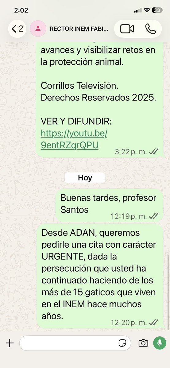 OrlandoBeltranQ's tweet photo. El rector del INEM Bucaramanga, FABIO SANTOS HERNÁNDEZ, es un enemigo declarado de la colonia de casi 20 inocentes gatos que han vivido allí por más de 15 años. 

En septiembre 26/25 le dirigimos carta solicitándole diálogo. Nunca respondió, pero al menos cesó la despiadada persecución. 

Ahora, ha prohibido nuevamente darles de comer y tomar agua, pidiendo al gobierno municipal su retiro inmediato, demostrando con ello la MALDAD y PREPOTENCIA que lo han caracterizado desde que ejerce la rectoría.

No es solo un asunto de ÉTICA AMBIENTAL Y ANIMAL. Es también un pésimo ejemplo para los niños y jóvenes educandos, al desconocer, entre otros,  el principio de SOLIDARIDAD de la Ley 1774/16.

Urge que la Secretaria de Educación MARTHA CECILIA GUARÍN LIZCANO y el Subsecretario de Salud y Medio Ambiente ROSEMBERG SANABRIA VESGA, @AlcaldiaBGA @Cportilla40 @Salud_Bga  @SecretaradeEdu3 
tomen cartas en el asunto y conformemos cuanto antes una mesa de diálogo, siempre DEFENDIENDO a tan Inocentes animales. 
@AMBeltran92 
@mapigaviria 
@PlataformaALTO 
@SaninPazC 
@carolinabel_ 
@REYNALDOCESPEDE 
@piedrahitangela 
@JulianaBarbieri
@paor42000
@OfeliaChavezLa2
@Marce_Tabares
@FEDAMCO1
@ReynaldoCespedes
@plataformaALTO
@EsmeHernandezSi
@CamiMachado10_ 
@vanguardiacom 
@RCNBga 
@CaracolBga 
@MascotasCaracol 
@BLUSantanderes