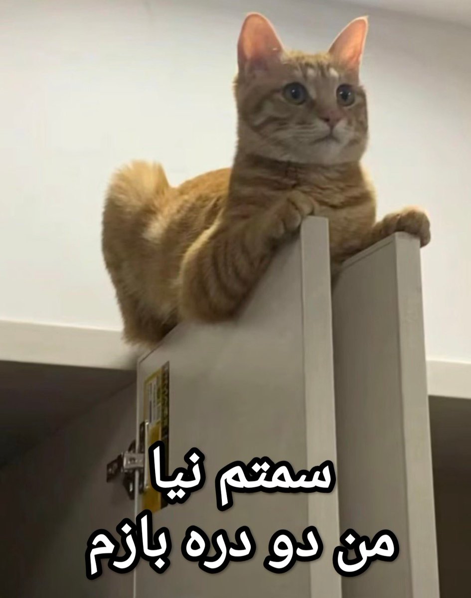 Mioozadeh's tweet photo. https://t.co/fQqLmK9o4T