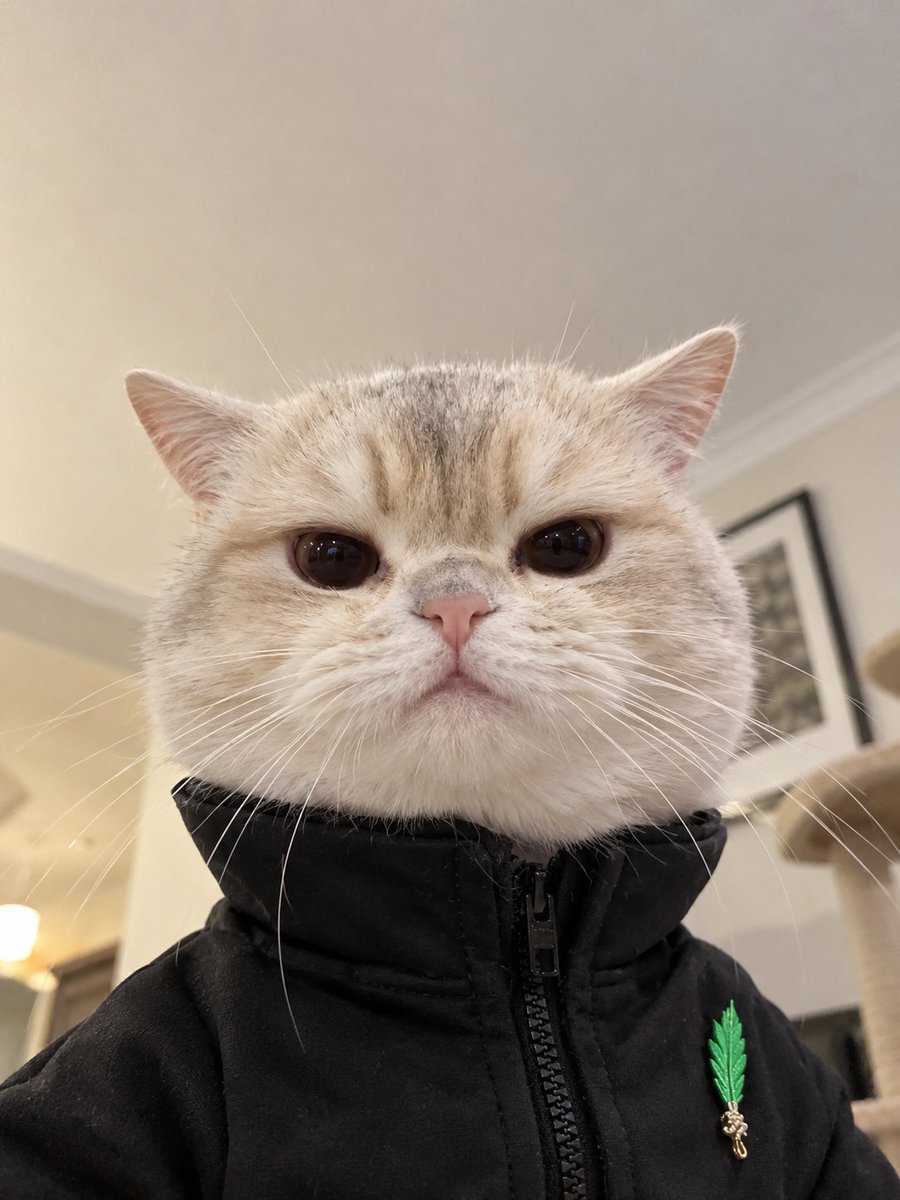 StickyFiddle420's tweet photo. Vrax looking fly in his Robinhood Summit Merch https://t.co/hCQIgBq0fd