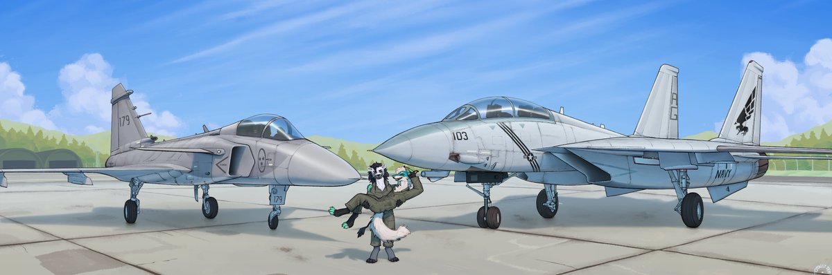 TotallyTem's tweet photo. Gripen &amp; Tomcat https://t.co/4GXKBKhfXG