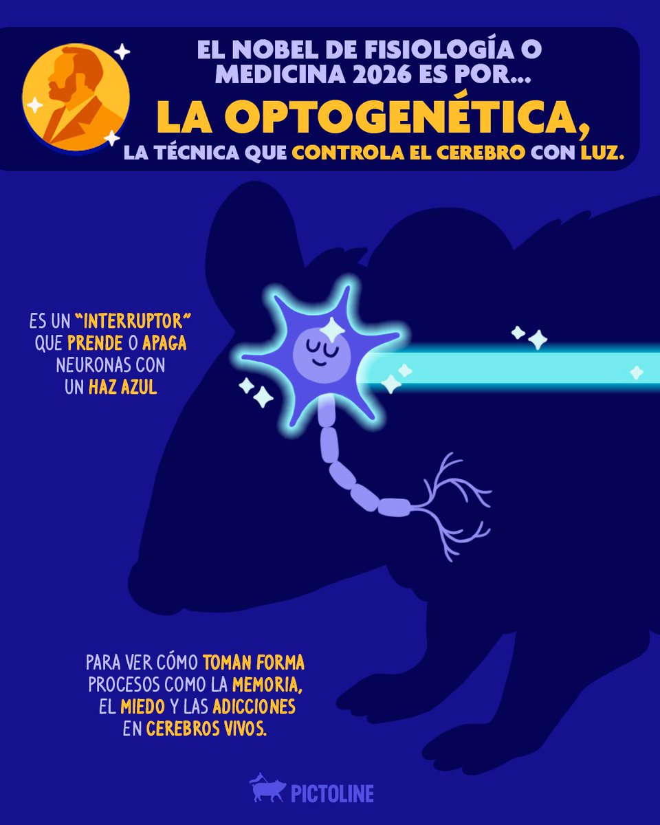pictoline's tweet photo. ¿Las personas ciegas podrían recuperar la vista? 👀 ¡Sí! Ese paso podría ser posible gracias a los ganadores del Premio Nobel de Fisiología o Medicina 2026 🩺🤯

#Nobel #NobelPrize #ciencia #pictoline https://t.co/C66hifSINL