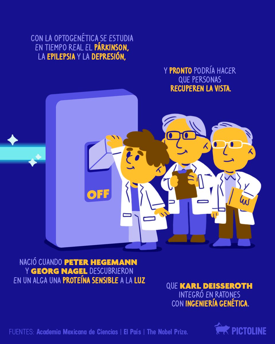 pictoline's tweet photo. ¿Las personas ciegas podrían recuperar la vista? 👀 ¡Sí! Ese paso podría ser posible gracias a los ganadores del Premio Nobel de Fisiología o Medicina 2026 🩺🤯

#Nobel #NobelPrize #ciencia #pictoline https://t.co/C66hifSINL