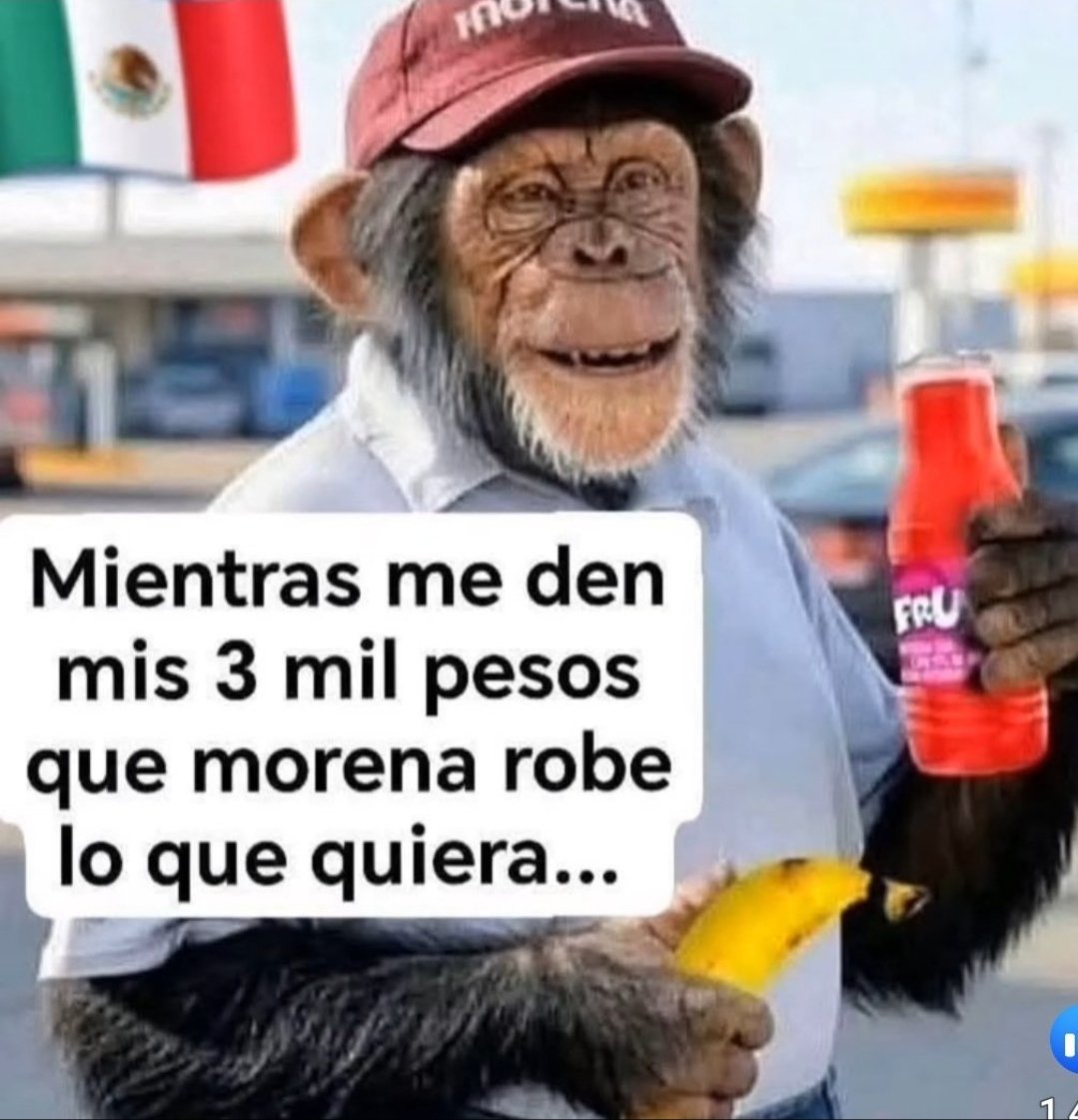 MiguelPantojaMD's tweet photo. @gabvalperez Pero NO es muerte cerebral Maestro, son #muertosdehambre e #ignorantes que es diferente 👇🏼 https://t.co/icQlwBJonZ