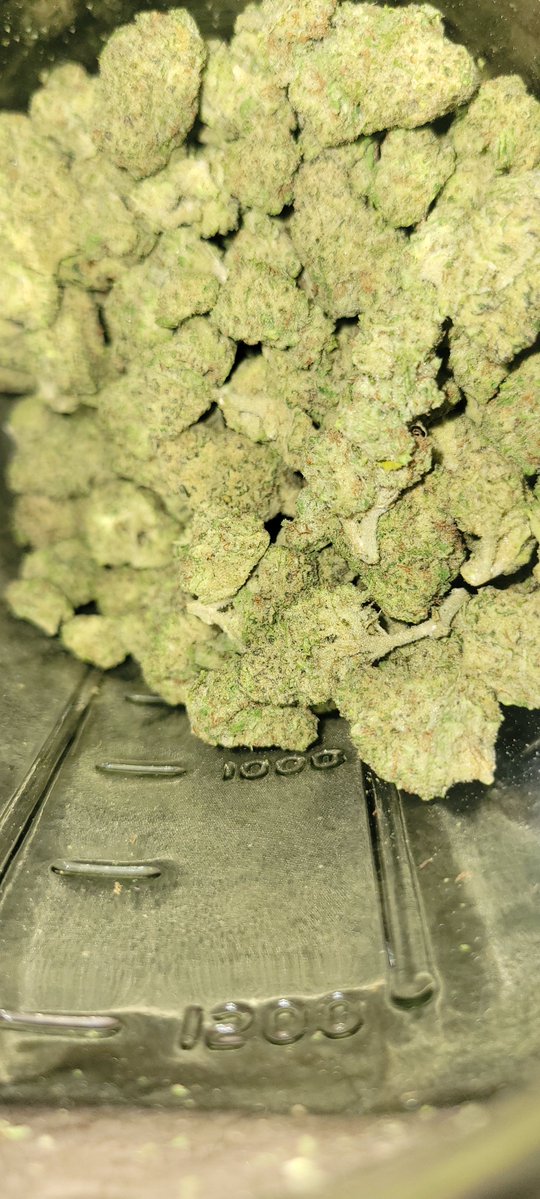 SouthernSm99011's tweet photo. Thanks to @TERP_THCA  for the Blueberry Haze. It's very nice and tasty. https://t.co/I7FZw5HX1A