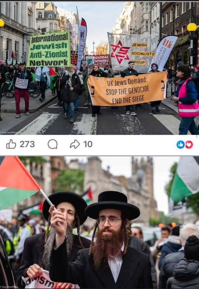 Paladin6913's tweet photo. @RepFine Zionism = the Synagogue of Satan https://t.co/NGEhGrwxBI