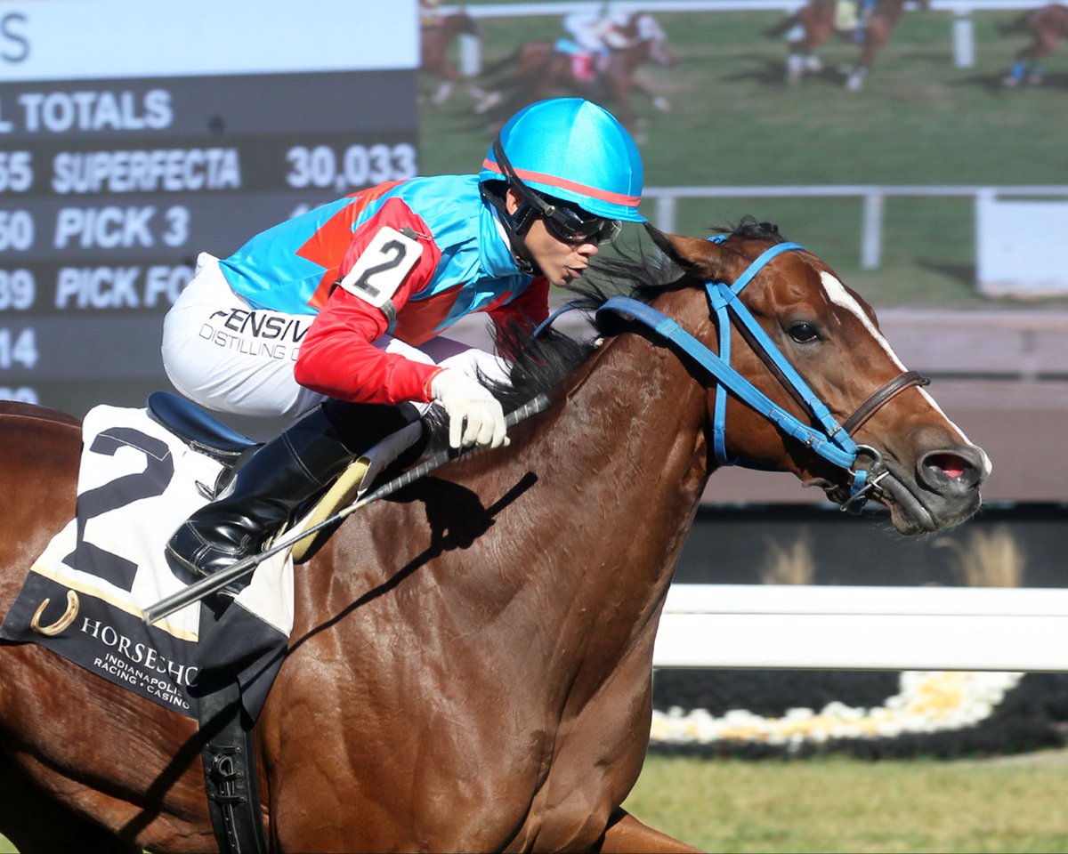 JohnGDooley's tweet photo. 🎙️ “She was too fast for them!”

SUNNY’S FLAME ($2.80) torched her opponents in the F&M Turf Sprint @HSIndyRacing (Firm 48’) on Monday with @jockeypedrozajr (50th meet win) for Gennadi Dorochenko. “The Champion” trained HERO OF ORDER, who won the 2012 G.2 Louisiana Derby @fairgroundsnola at 109/1. Go @Saints vs. ATL tonight at home in the Dome!