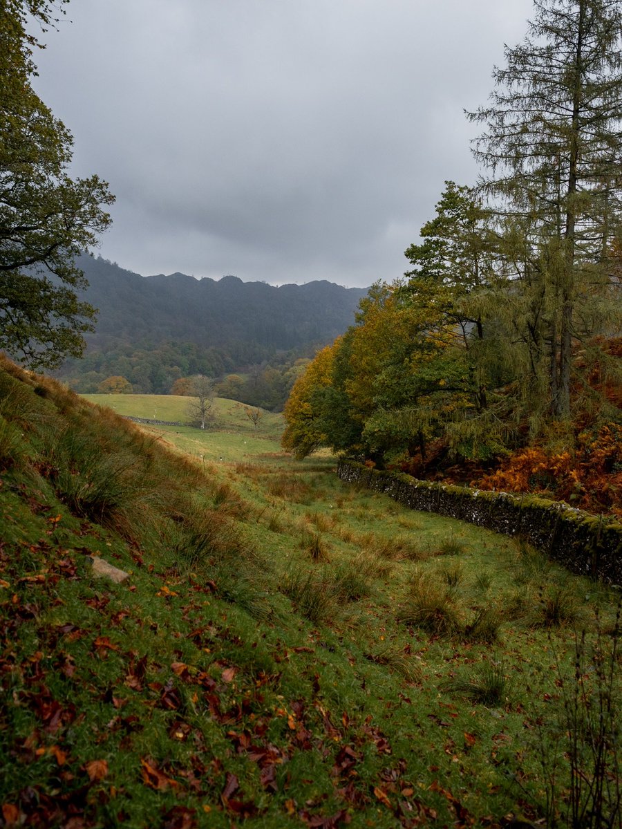 visualsofearth1's tweet photo. Lake District in Autumn 🍂 https://t.co/YFUdSrD52n