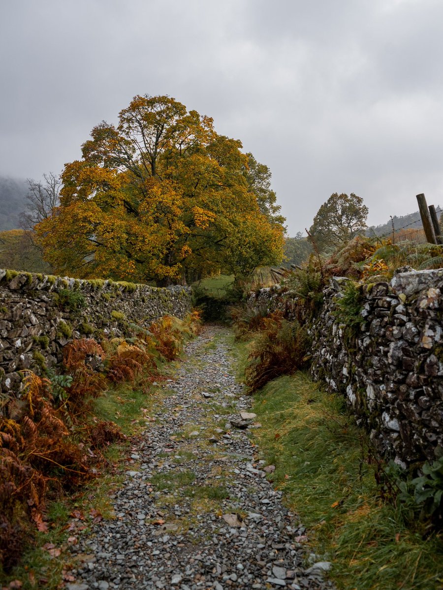visualsofearth1's tweet photo. Lake District in Autumn 🍂 https://t.co/YFUdSrD52n