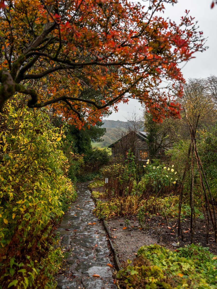 visualsofearth1's tweet photo. Lake District in Autumn 🍂 https://t.co/YFUdSrD52n