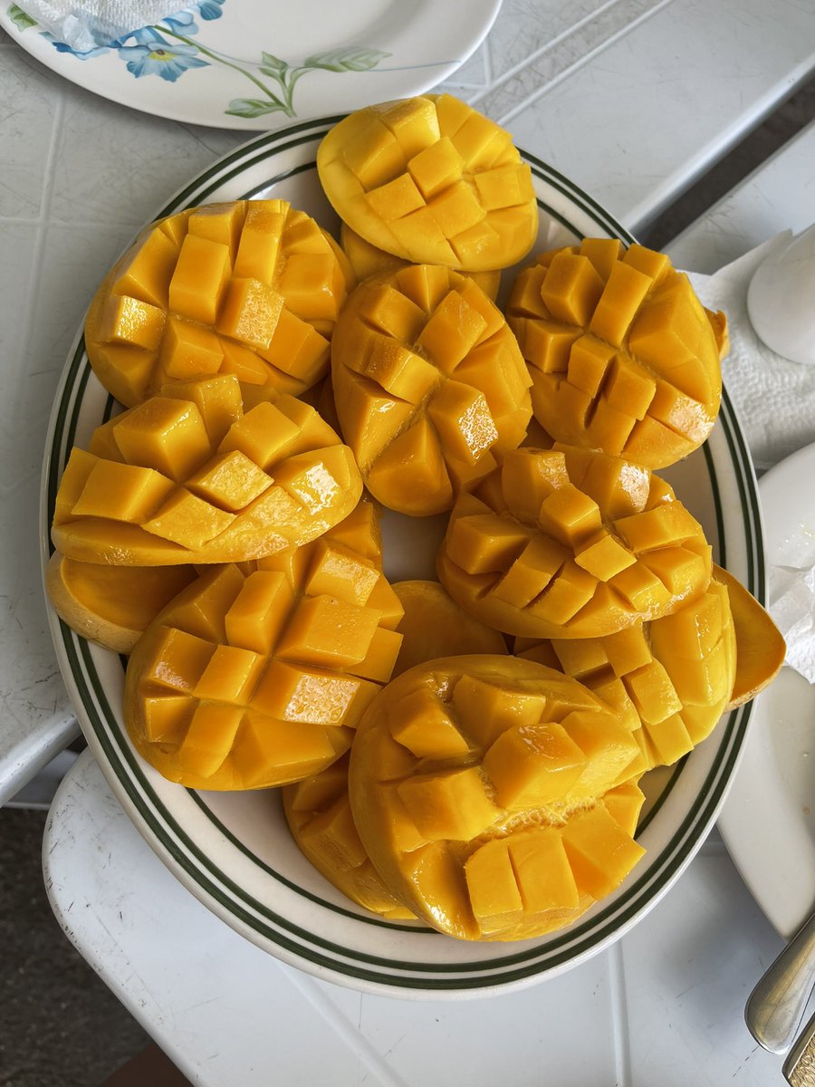 pztchio's tweet photo. YOU BET UR ASS I ATE THIS WHOLE PLATE BY MYSELF 
CEBU MANGOES RRRAAAHHH https://t.co/mBprYTgu5Q