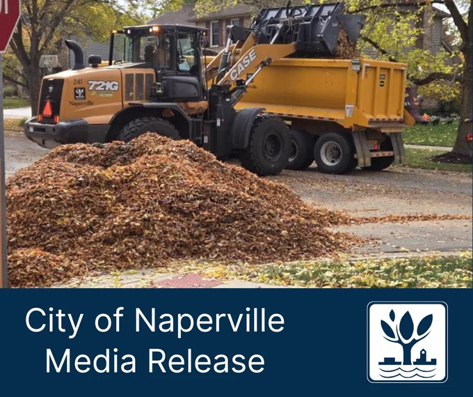 A City of Naperville front end loader scoops fallen leaves from the street and places them in a yellow dump truck.