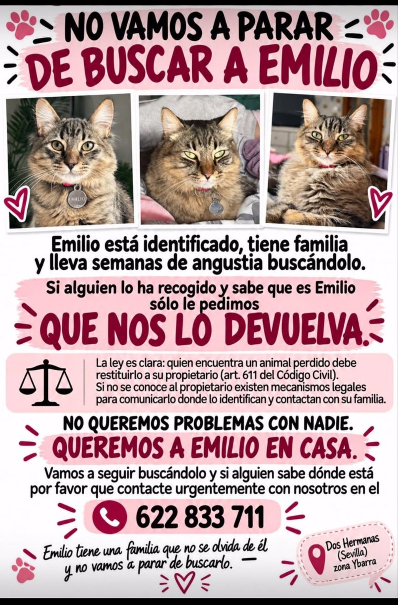 CefiroyCoco's tweet photo. @DefensaFelina
@Arca_Sevilla
@aliccitana
@vera_momarin
@masurdapilleta
@CC55644490
@Beatrixnp
@Lobo_maltes
@BurkManuela
@Erta2017
Emilio
Perdido? Robado?
Su familia está desesperada buscándolo 🥺
#DosHermanas zona Ybarra
#Sevilla 622 833 711
Por favor, DIFUSIÓN 📢📢📢 https://t.co/mFcvb8QgwD