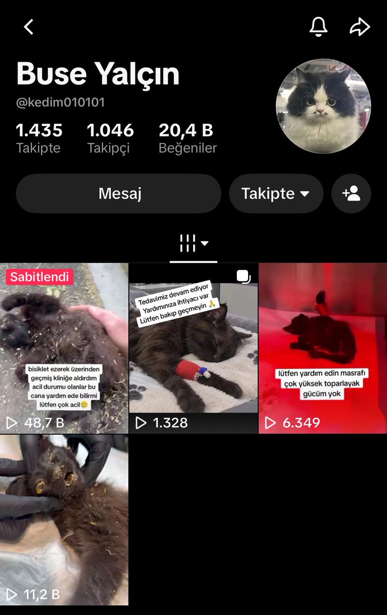 miusnaa's tweet photo. @bpthaber Bu minik hala tedavi sürecinde durumu ağır lütfen yayalım destek lazım🙏🏻 https://t.co/wqoCzWZ2OM