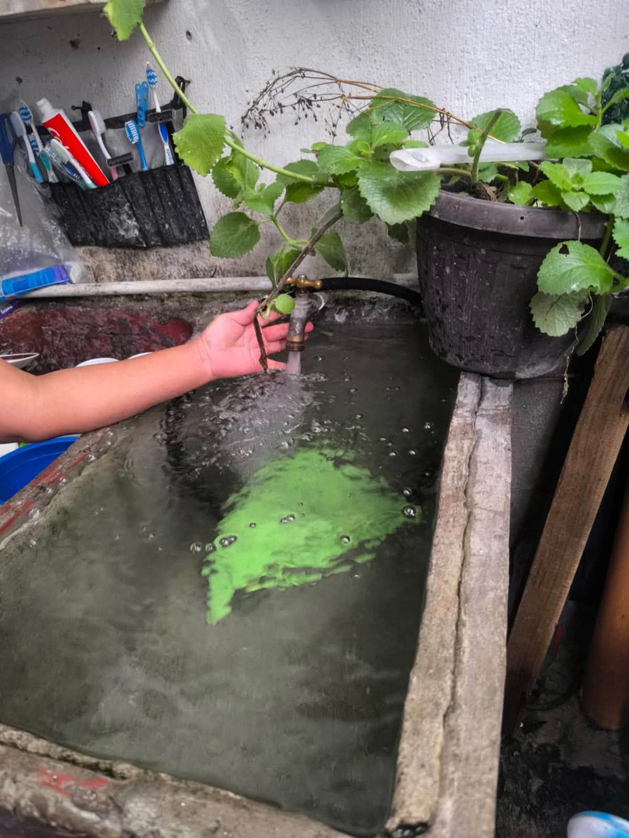 netobran's tweet photo. Gracias a Dios ya cayendo agua en Santa Marta!
Sufrí en arreglar el pozo, por la grande que es.
Estuvo duro y ya  el pozo está produciendo 400 galones https://t.co/H97wQlnl1X