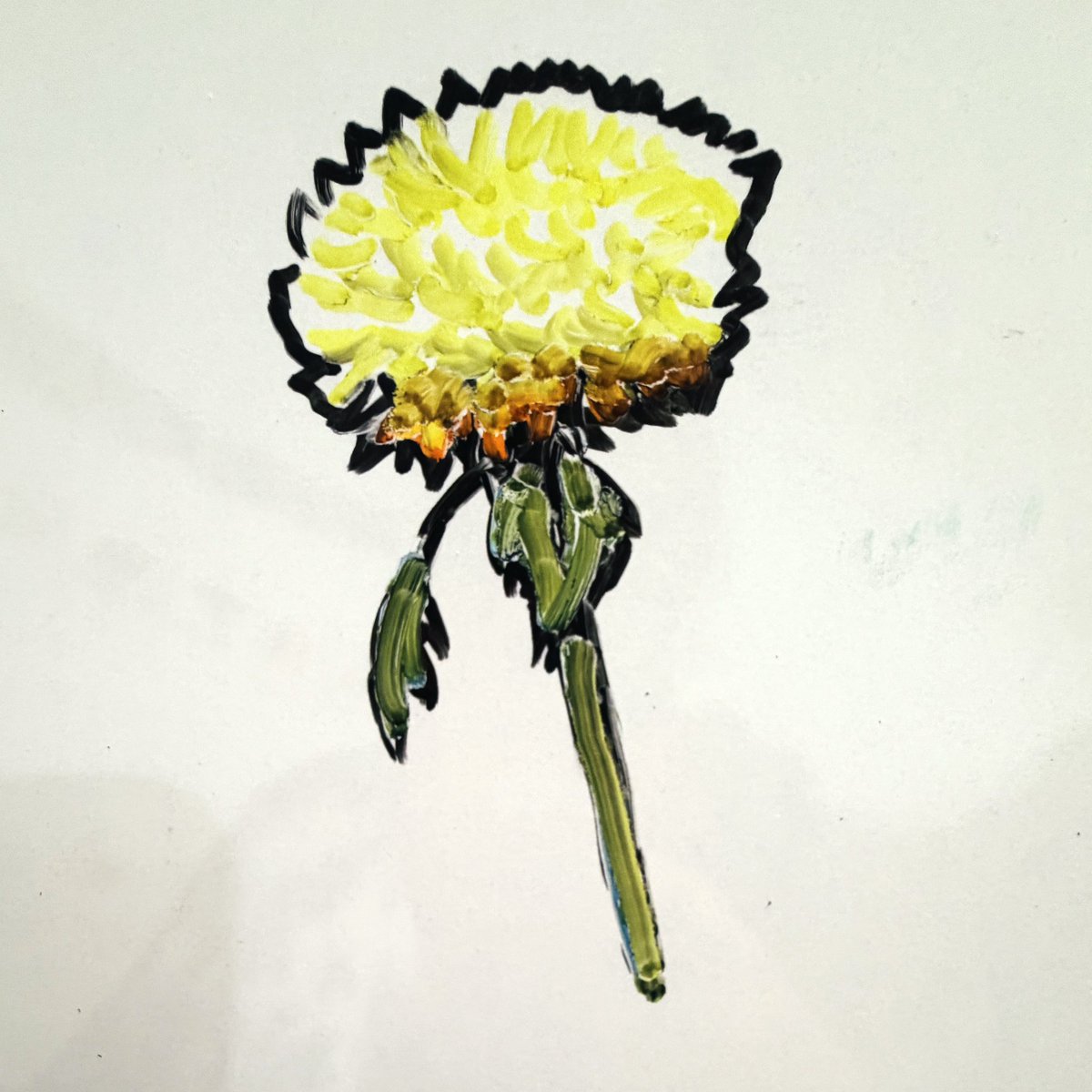 SassyRaptor's tweet photo. I kinda liked this whiteboard flower I doodled and wanted to share. https://t.co/BboLwi8mFL