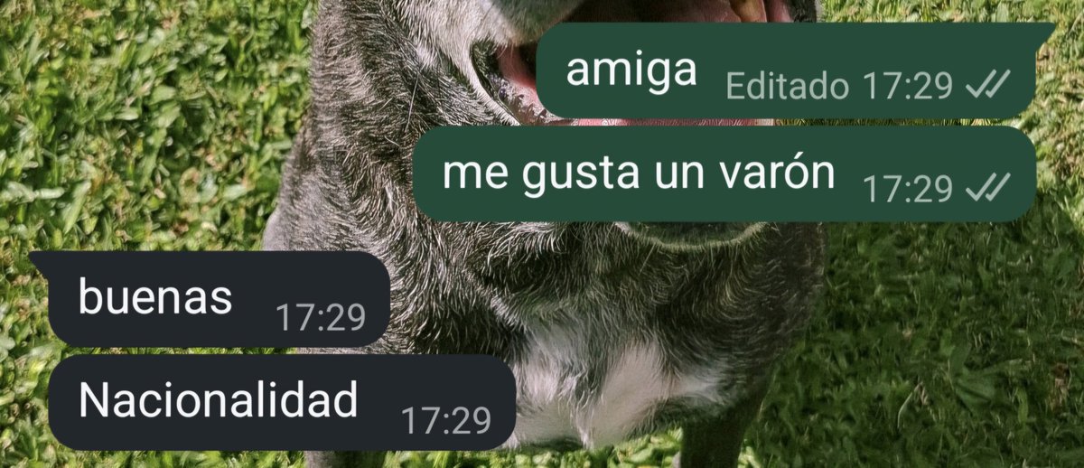 EliiiMendez's tweet photo. esa amiga con un tipo en específico https://t.co/b2zfvbfbed