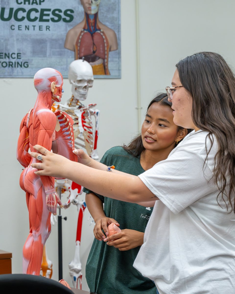 Midland_College's tweet photo. Successful students know when to ask questions, and where to find help. This #NationalTutoringWeek, we’re celebrating the tutors who help our Chaps work through tough concepts, prep for exams and reach for that next grade.
Say YES to your success: https://t.co/ZWbK5Yask3 https://t.co/romSaMTom9
