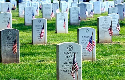 pdoggbiker's tweet photo. Here’s another breakdown of U.S. casualties sustained during the Vietnam War. I have also added links to other posts on this website, which contain additional information at the end of this article.  https://t.co/YQF0m5Zg8n https://t.co/6LGpnP7GA3