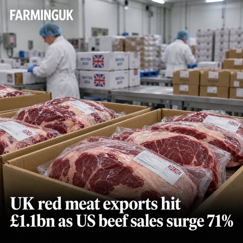 alipevs's tweet photo. #BritishFarming #UKExports #CountrysideAlliance https://t.co/bDvsTZNq4y