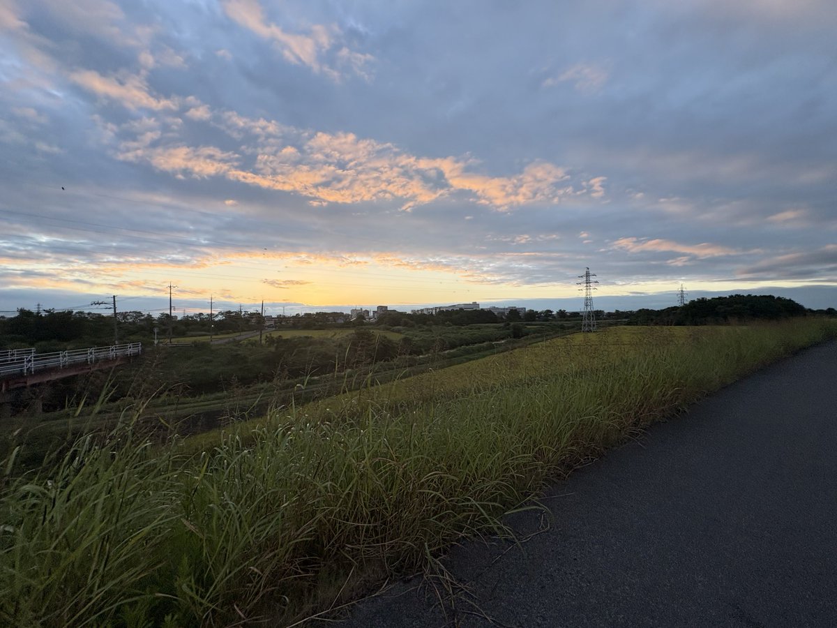 hide27874697's tweet photo. あさんぽ https://t.co/WEGh2ofIJp