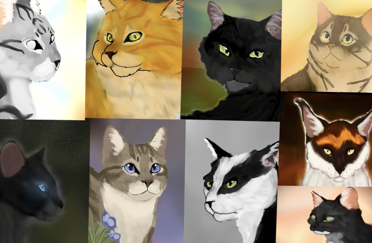 HaydenKeni22395's tweet photo. #warriorcats #powerofthree #deadbeatdad #teenagemom
#manchild #anxietyraven #ANDSMEXYSTARLINGPAW #RANDOMWINDCLANGIRL
#jayfeather #hollyleaf #lionblaze #leafpool #crowfeather #sol #heathertail #starlingpaw #ravenpaw https://t.co/i1kUsvsf1R