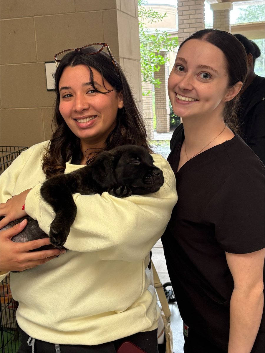 SouthU's tweet photo. 🐾 Ruff day? Not at South University, Savannah!

In honor of PA Week starting tomorrow, Renegade Paws Rescue brought 4 adorable pups to the breezeway to help our hardworking PA students (and staff!) de-stress.

#PAWeek #PuppyLove #RenegadePaws #StressLess #PhysicianAssistant https://t.co/eB6WOWNQja