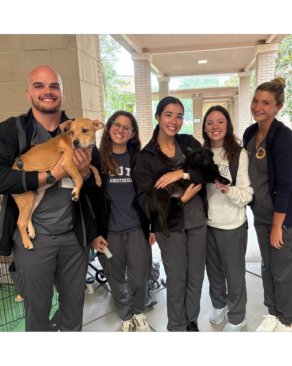 SouthU's tweet photo. 🐾 Ruff day? Not at South University, Savannah!

In honor of PA Week starting tomorrow, Renegade Paws Rescue brought 4 adorable pups to the breezeway to help our hardworking PA students (and staff!) de-stress.

#PAWeek #PuppyLove #RenegadePaws #StressLess #PhysicianAssistant https://t.co/eB6WOWNQja