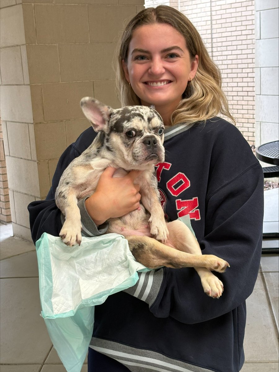 SouthU's tweet photo. 🐾 Ruff day? Not at South University, Savannah!

In honor of PA Week starting tomorrow, Renegade Paws Rescue brought 4 adorable pups to the breezeway to help our hardworking PA students (and staff!) de-stress.

#PAWeek #PuppyLove #RenegadePaws #StressLess #PhysicianAssistant https://t.co/eB6WOWNQja