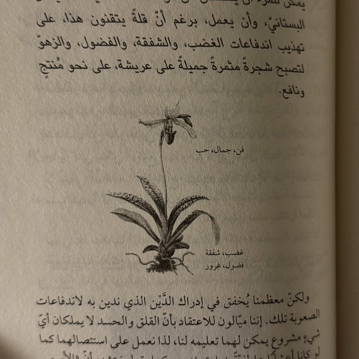 wonlyme1's tweet photo. ليلة https://t.co/1ZXPGLTUPf