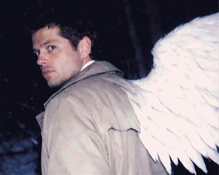 Xd1Sandia's tweet photo. Hola vine con mi ranking de grown ass men q me dan ternura sin razón aparente ♡
Perdón que los hice esperar ahh

En primer lugar
CASTIEL
lo amo mucho enserio hago esta cara cada q aparece🥹
Amo a Misha en si pero es q cas...🥹🥹🥹🥹🥹😭
Lo amo lo amo lo amo https://t.co/78t47qeaZB