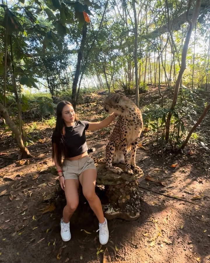 pamelaaduarte's tweet photo. being around wild nature gives me a sense of satisfaction.. I'll definitely be back here. https://t.co/yRdxPQMhNv