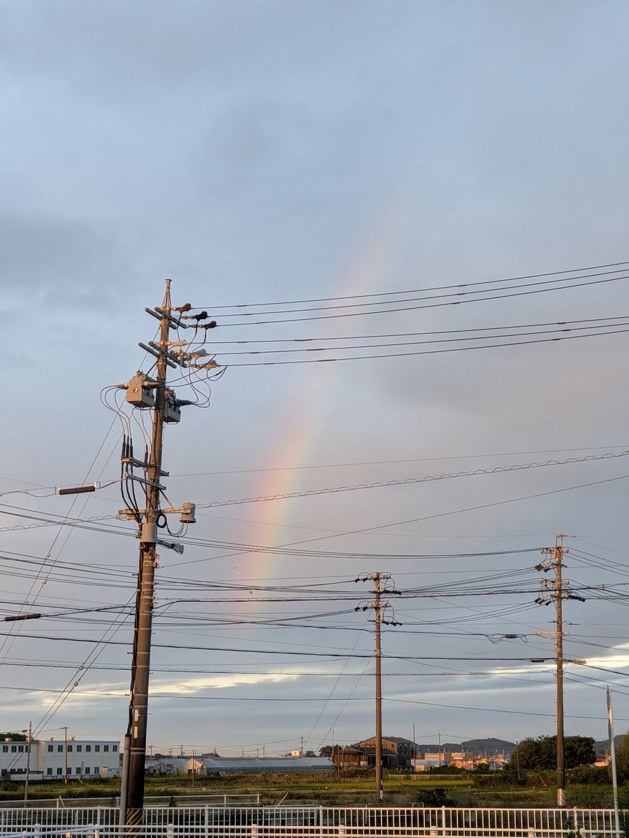 mimichi843's tweet photo. 朝から虹🌈 https://t.co/XiDmu344Y3